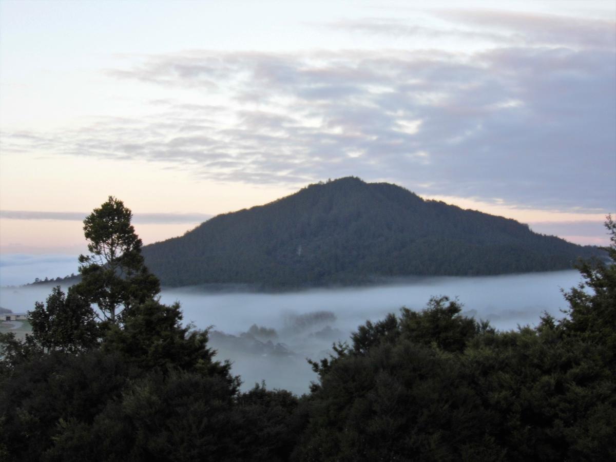 Valley Vista Eco Retreat Villa Kaiwaka ภายนอก รูปภาพ